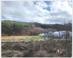  2025Ÿ113  ξȱ 󼭸  39      (Ӿ)