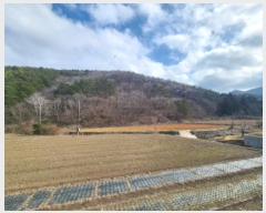  2025Ÿ113  ξȱ 󼭸  39      (Ӿ)