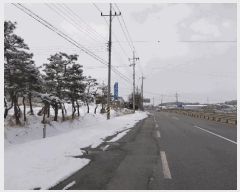  2025Ÿ��169  â�����