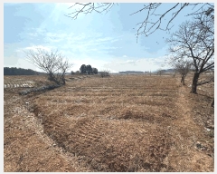  2025Ÿ��172  �����