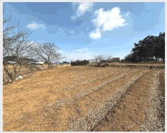  2025Ÿ��172  �����