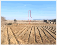  2025Ÿ��176 ���� �ξȱ� �ξ��� ���丮 545-4      ����(��1)���