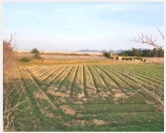  2025Ÿ��176 ���� �ξȱ� �ξ��� ���丮 545-4      ����(��1)���