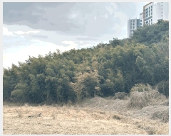  2025Ÿ179  ξȱ ξ  137      (1)