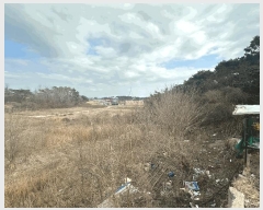  2025Ÿ179  ξȱ ξ  137      (1)