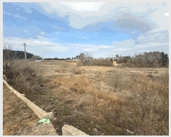  2025Ÿ179  ξȱ ξ  137      (1)