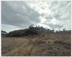  2025Ÿ179  ξȱ ξ  137      (1)