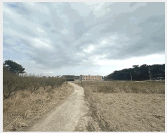  2025Ÿ179  ξȱ ξ  137      (1)