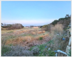  2025Ÿ179  ξȱ ξ  137      (1)