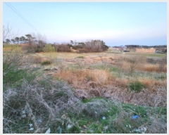  2025Ÿ179  ξȱ ξ  137      (1)