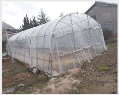  2025Ÿ��182 ���� �ξȱ� �ϼ��� ���� 124-1      ���ð��