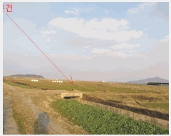  2025Ÿ185  ξȱ ȭ þȸ 2329-9      ()