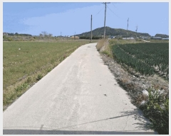  2025Ÿ199  ξȱ   271-13      ()