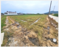  2025Ÿ199  ξȱ   271-13      ()