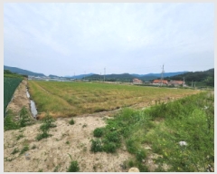  2025Ÿ199  ξȱ   271-13      ()