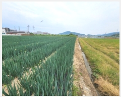  2025Ÿ199  ξȱ   271-13      ()