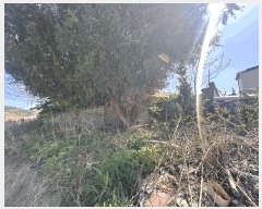  2025Ÿ��211  �������