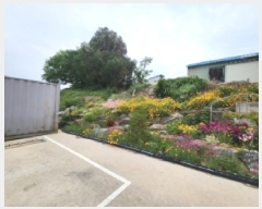  2025Ÿ��211  �����