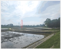  2025Ÿ��219 ���� ������ ���θ� �ڻ긮 125      ����(��)���