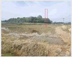  2025Ÿ��219 ���� ������ ���θ� �ڻ긮 125      ����(��)���