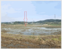  2025Ÿ��219 ���� ������ ���θ� �ڻ긮 125      ����(��)���