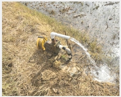  2025Ÿ��219 ���� ������ ���θ� �ڻ긮 125      ����(��)���