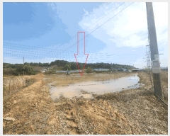  2025Ÿ��219 ���� ������ ���θ� �ڻ긮 125      ����(��)���