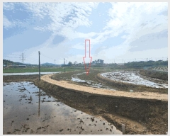  2025Ÿ��219 ���� ������ ���θ� �ڻ긮 125      ����(��)���