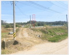  2025Ÿ��219 ���� ������ ���θ� �ڻ긮 125      ����(��)���