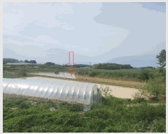  2025Ÿ��219 ���� ������ ���θ� �ڻ긮 125      ����(��)���