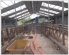  2025Ÿ��241 ���� ������ ���θ� �Լ��� 243      ���(�󰡽ü�)���