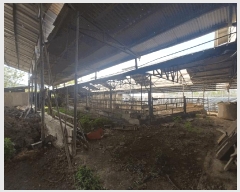  2025Ÿ��241 ���� ������ ���θ� �Լ��� 243      ���(�󰡽ü�)���