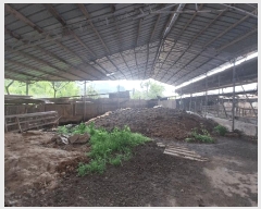  2025Ÿ��241 ���� ������ ���θ� �Լ��� 243      ���(�󰡽ü�)���