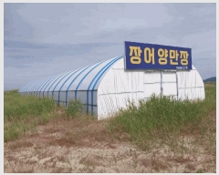  2025Ÿ��249 ���� �ξȱ� ������ ������ 265-15      �������