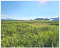  2025Ÿ��249 ���� �ξȱ� ������ ������ 265-15      �������