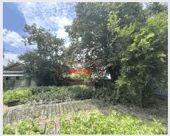  2025Ÿ��275 ���� ������ �� 403-12       ����(����)���