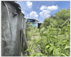  2025Ÿ��275 ���� ������ �� 403-12       ����(����)���