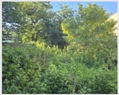  2025Ÿ��275 ���� ������ �� 403-12       ����(����)���