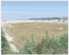  2025Ÿ��286 ���� ������ ����� ���� 588-8      �������