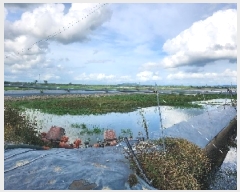  2025Ÿ��286 ���� ������ ����� ���� 588-8      �������