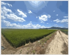  2025Ÿ��305 ���� �ξȱ� ��ȭ�� ��ȭ�� 2234-5      ����(��)���