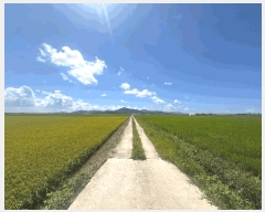  2025Ÿ��305 ���� �ξȱ� ��ȭ�� ��ȭ�� 2234-5      ����(��)���