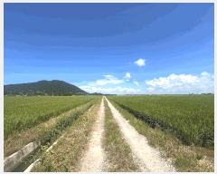  2025Ÿ��305 ���� �ξȱ� ��ȭ�� ��ȭ�� 2234-5      ����(��)���