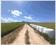  2025Ÿ��305 ���� �ξȱ� ��ȭ�� ��ȭ�� 2234-5      ����(��)���