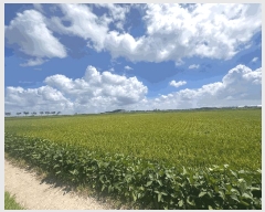  2025Ÿ��305 ���� �ξȱ� ��ȭ�� ��ȭ�� 2234-5      ����(��)���