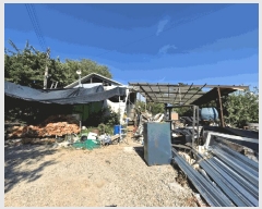  2025Ÿ��317  �������