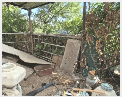  2025Ÿ��317  �������