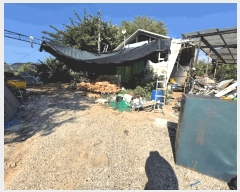  2025Ÿ��317  �������