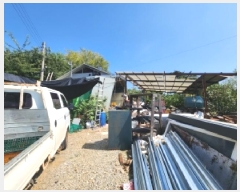  2025Ÿ��317  �������