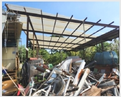  2025Ÿ��317  �������